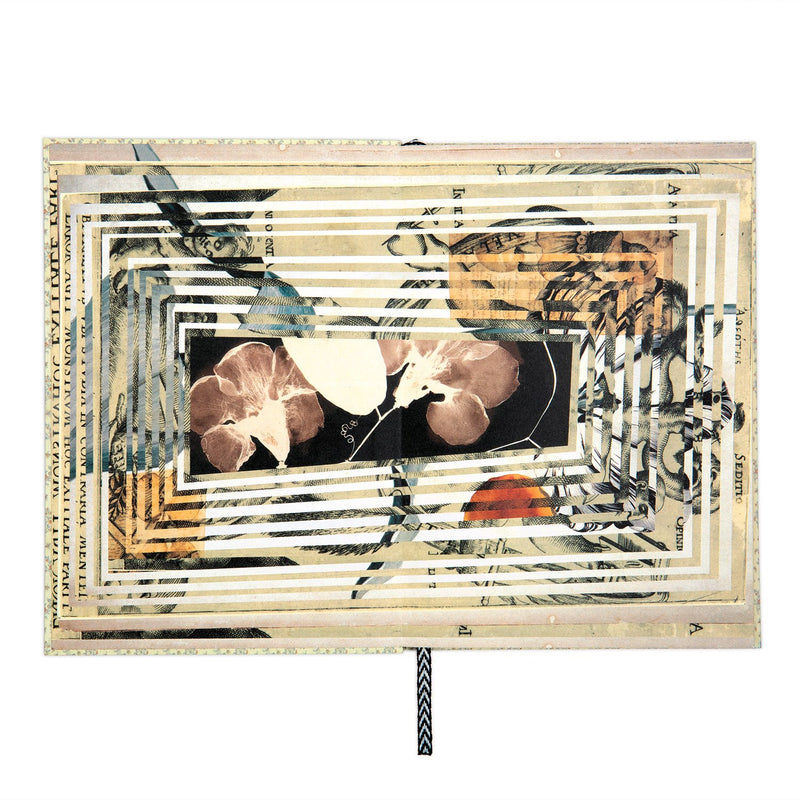 Christian Lacroix Heritage Collection Curiosity A5 Notebook Journals and Notebooks Christian Lacroix Collection 