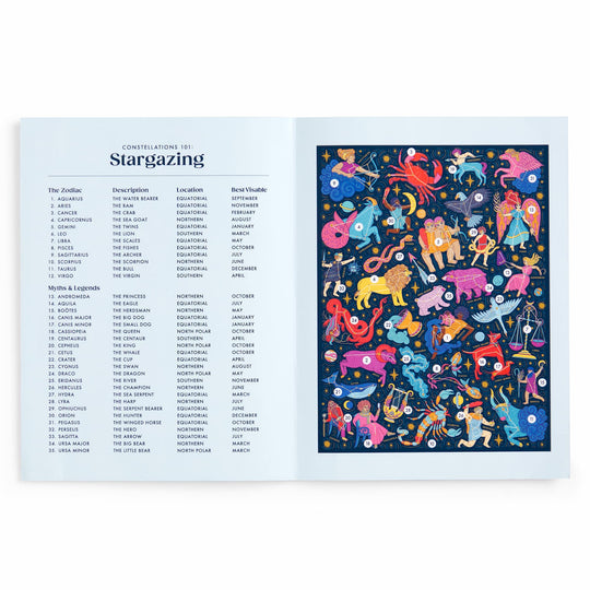 Constellations 101: Stargazing 500 Piece Book Puzzle Caitlin Keegan 