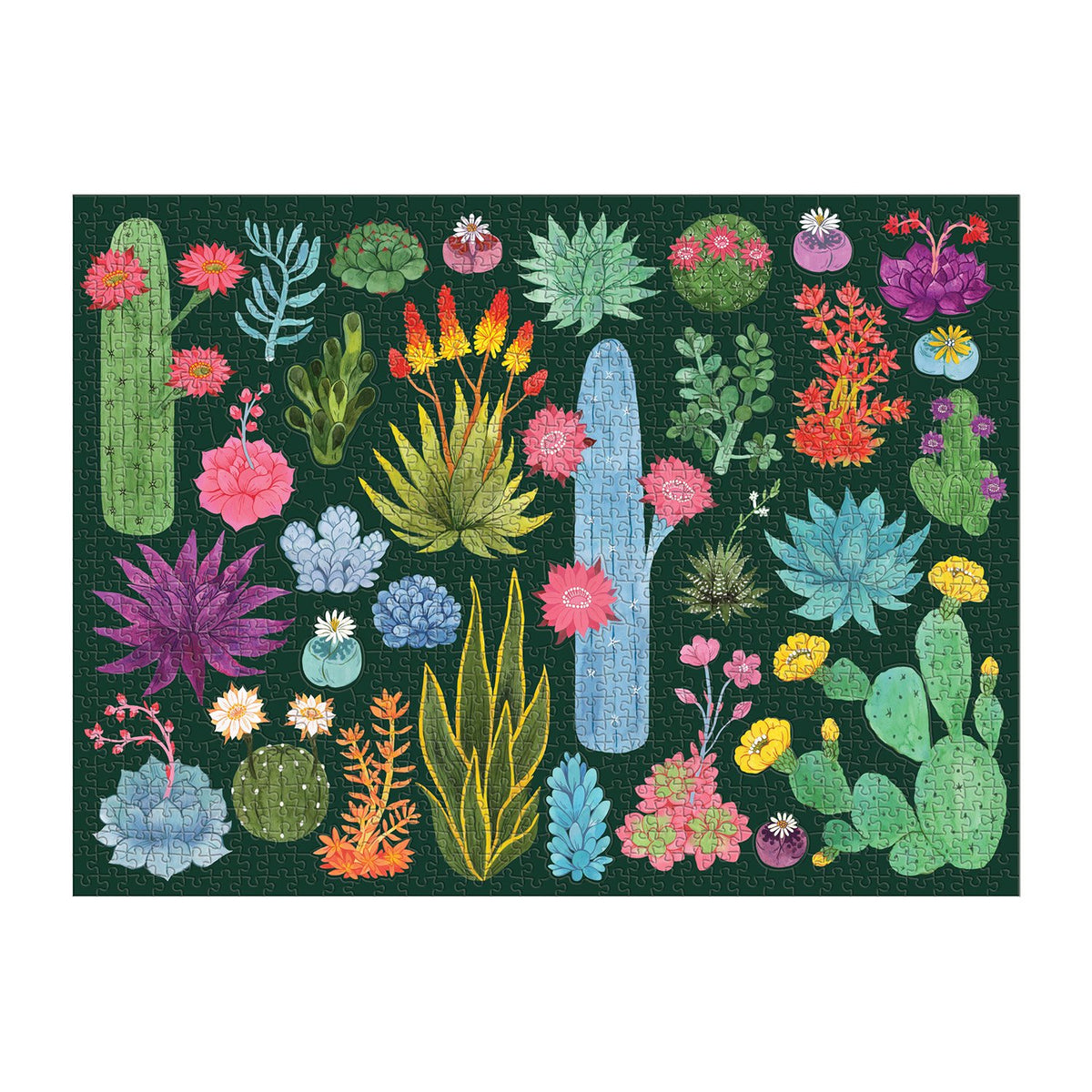 Desert Flora 1000 Piece Puzzle with Shaped Pieces 1000 Piece Puzzles Galison 