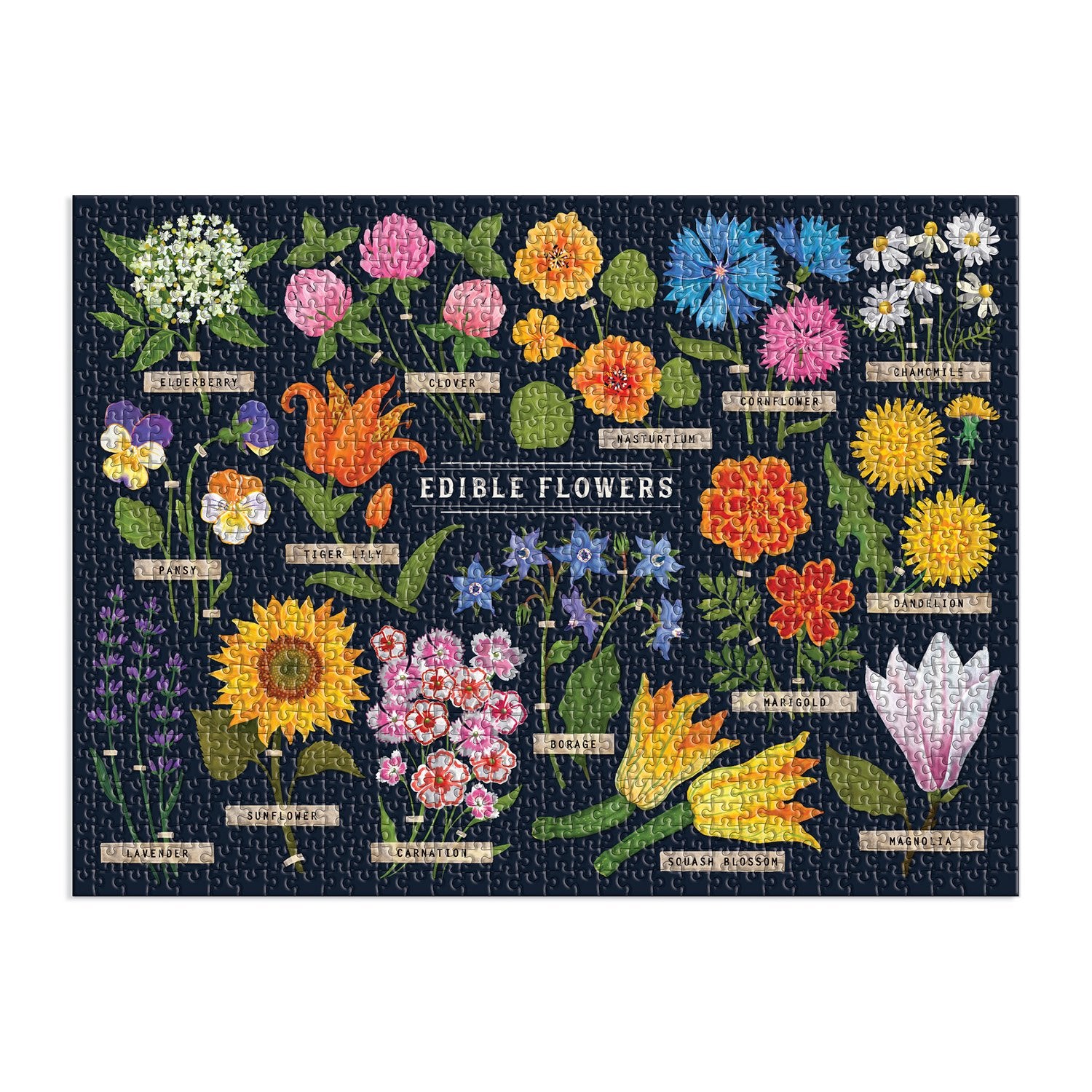 NF 常咲/生命/Everbloom / Life ENG 3枚 Edible Flowers 1000 Piece Puzzle | Galison