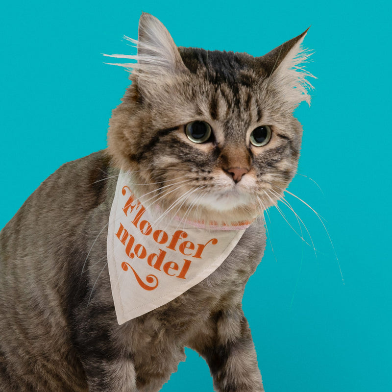 Floofer Model Small Pet Bandana Brass Monkey 