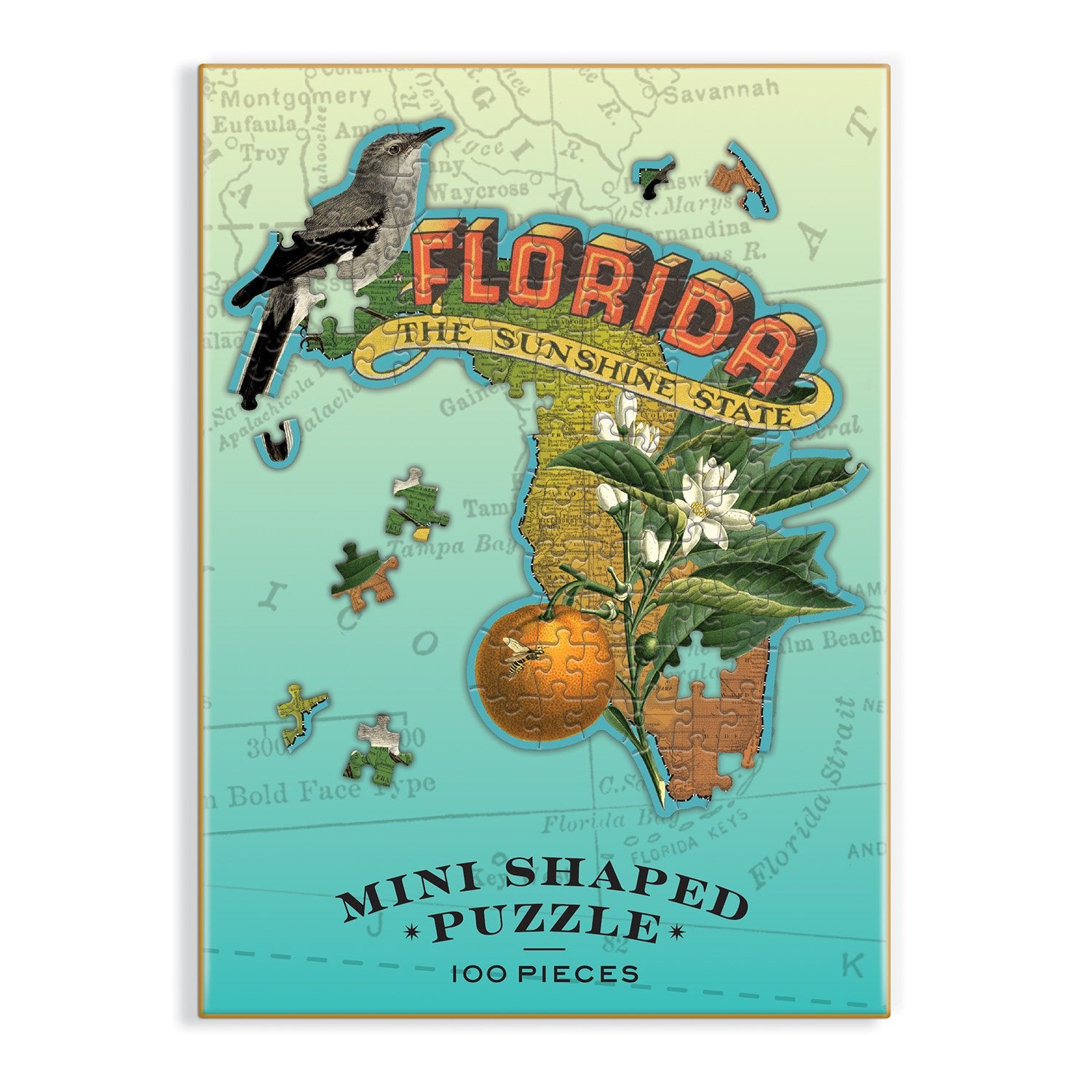 Florida Mini Shaped Jigsaw Puzzle | Galison