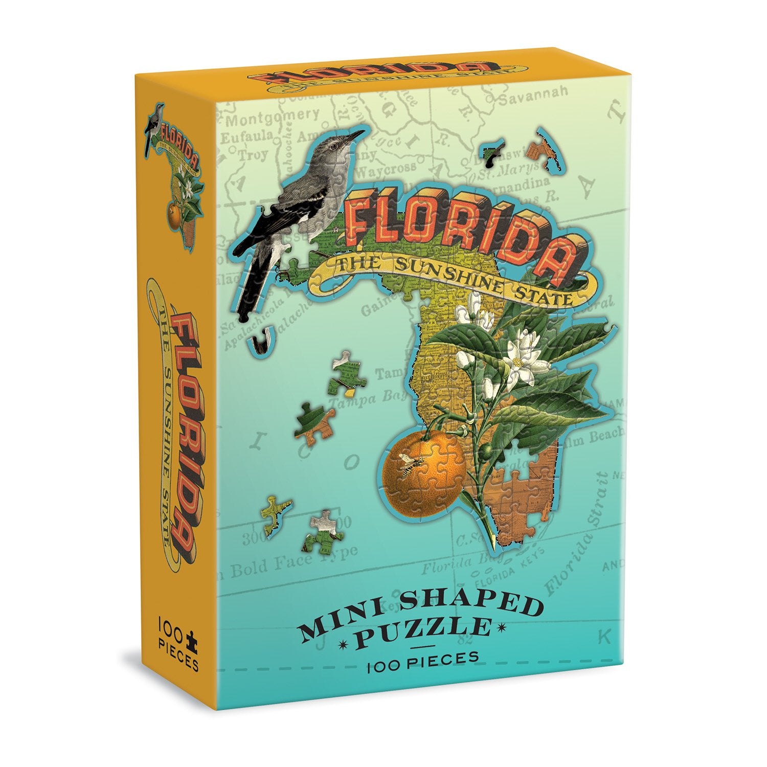 Florida Mini Shaped Puzzle | Galison