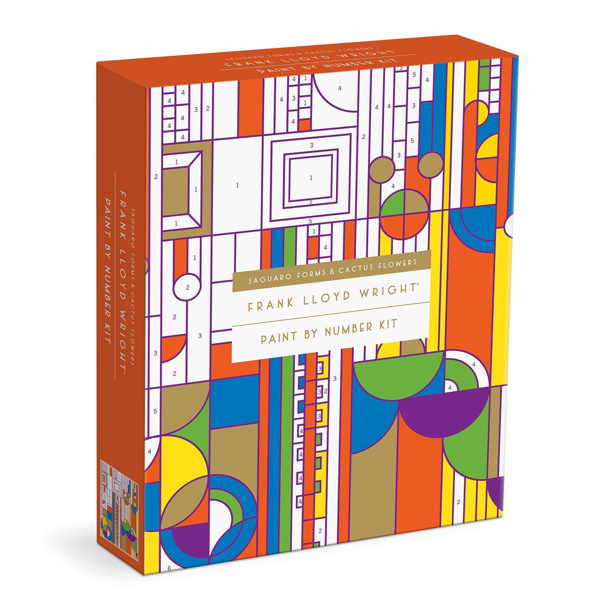 Saguaro Cactus Forms Paint Number Kit