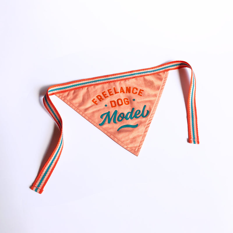 Freelance Dog Model Dog Bandana Dog Bandana Brass Monkey 