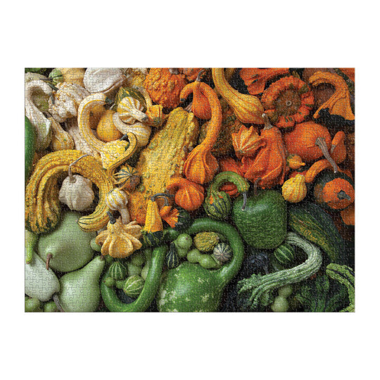 Gourds 1000 Piece Puzzle Puzzles Julie Seabrook Ream 