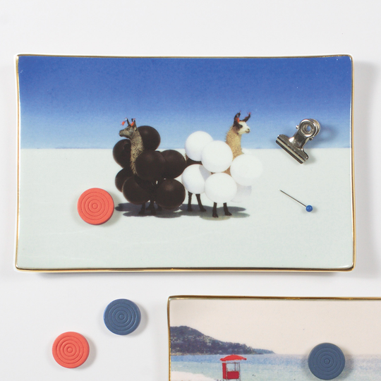 Gray Malin Llamas Porcelain Tray Decor Trays Gray Malin Collection 
