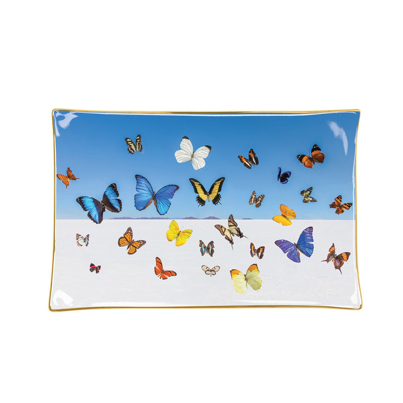 Gray Malin The Butterflies Porcelain Tray Porcelain Trays Galison 
