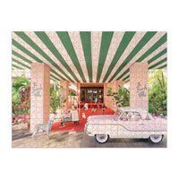 Gray Malin The Dogs at the Beverly Hills Hotel 500 Piece Double-Sided Puzzle Jigsaw Puzzles gray malin 
