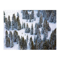 Gray Malin The Snow Two-sided Puzzle 2-sided 500 Piece Puzzles Galison 