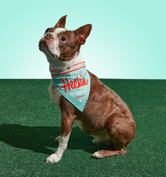 Happy Heckin' Holidays Dog Bandana Brass Monkey 