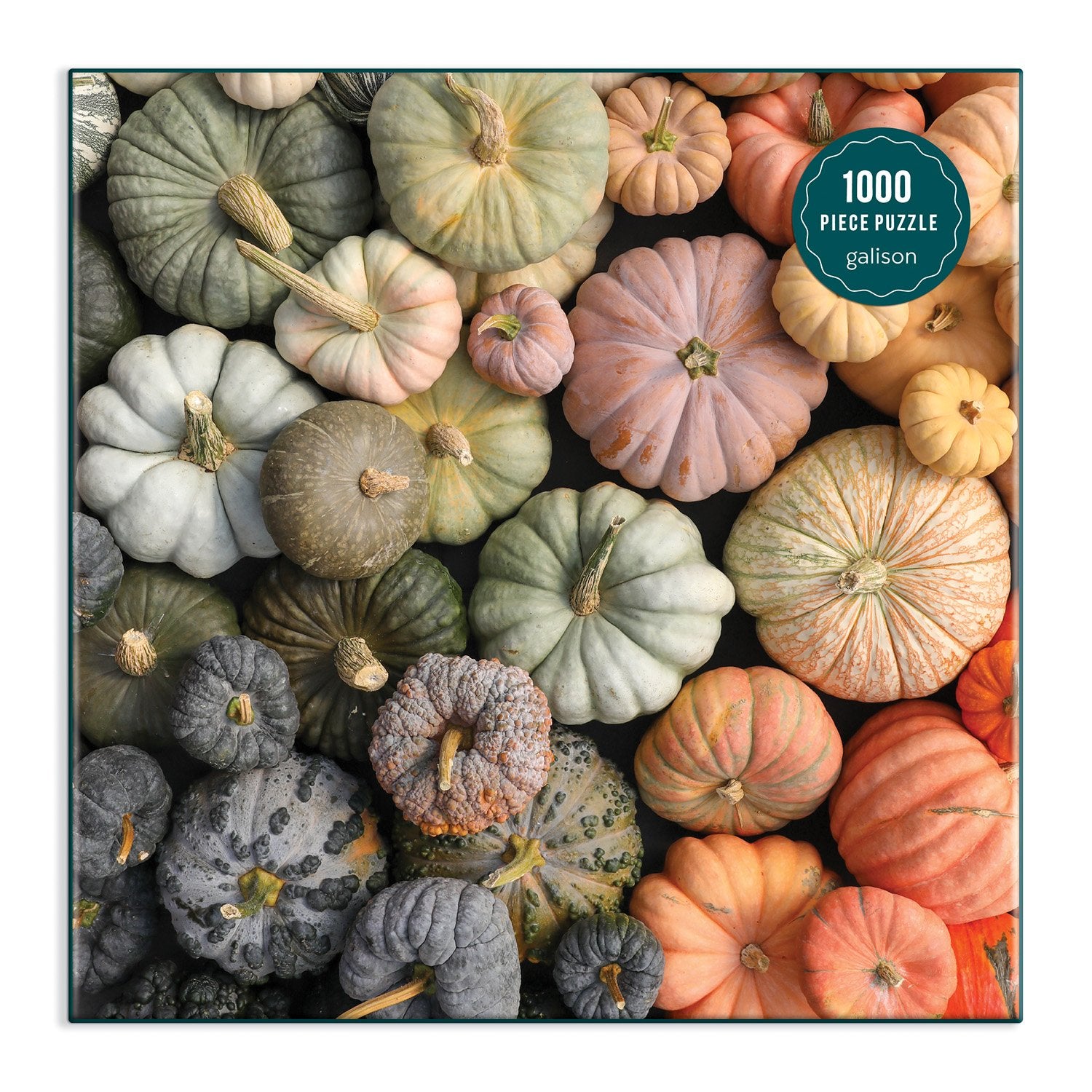 Heirloom Pumpkins 1000 Piece Puzzle in Square Box | Galison