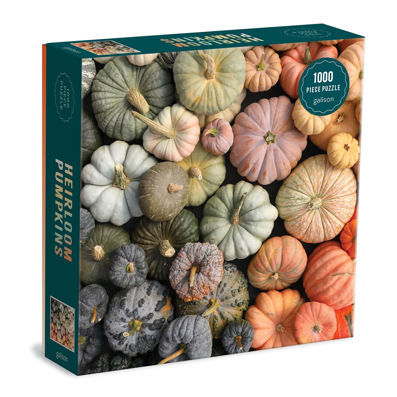 Heirloom Pumpkins 1000 Piece Puzzle in Square Box | Galison