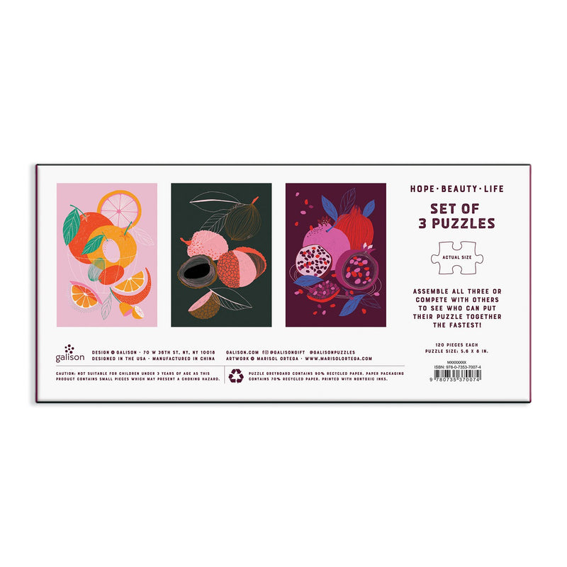 Hope Beauty Life Puzzle Set 100 Piece Puzzles Marisol Ortega 