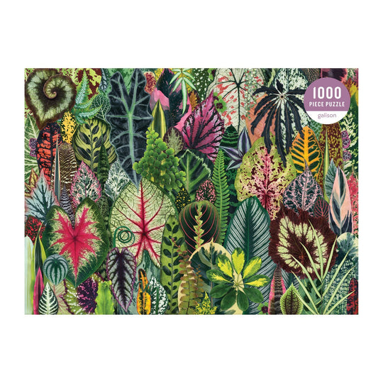 Houseplant Jungle 1000 Piece Puzzle 1000 Piece Puzzles Galison 