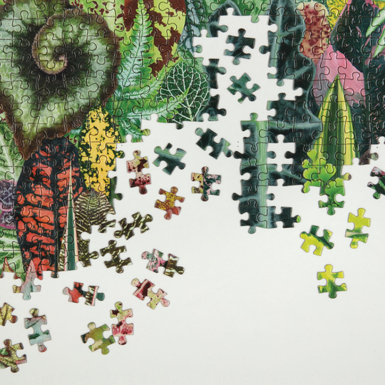Houseplant Jungle 1000 Piece Puzzle 1000 Piece Puzzles Galison 
