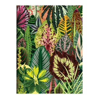 Houseplant Jungle Greeting Assortment Notecards Greeting Cards Galison 