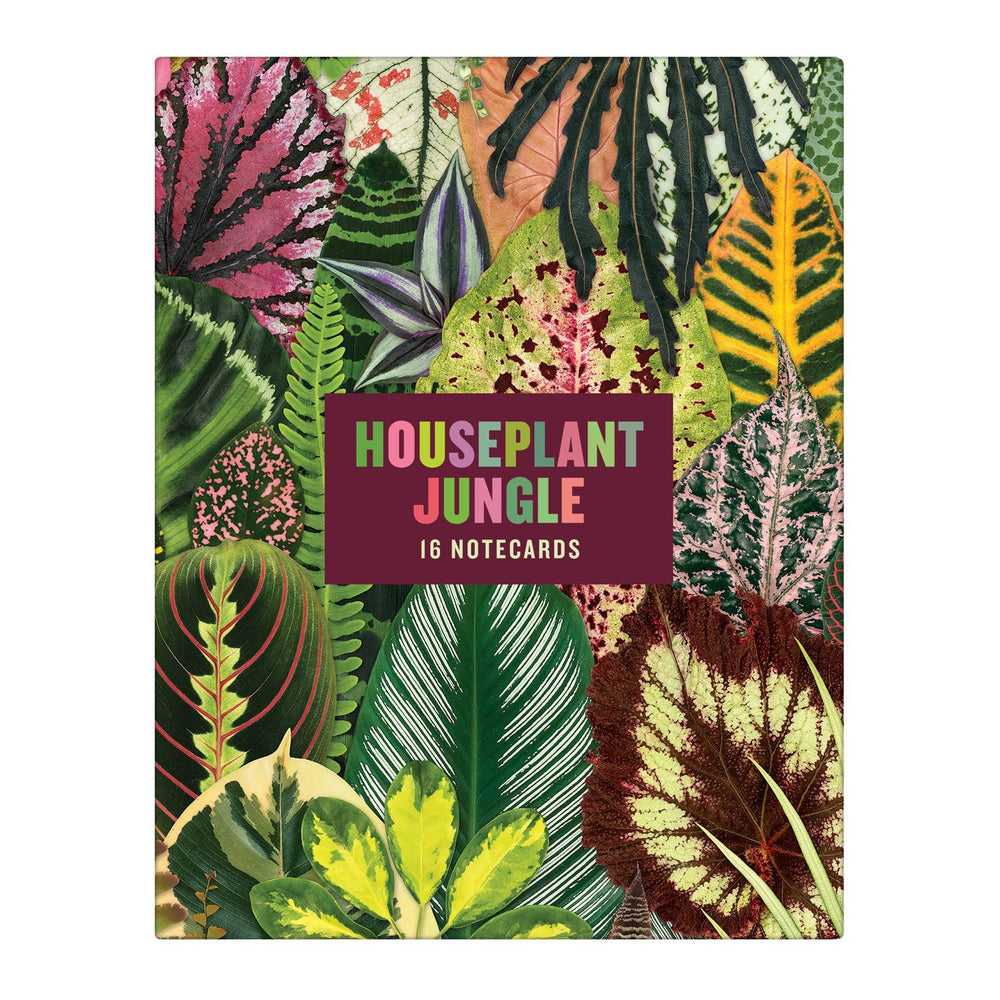 Houseplant Jungle Greeting Assortment Notecards Greeting Cards Galison 