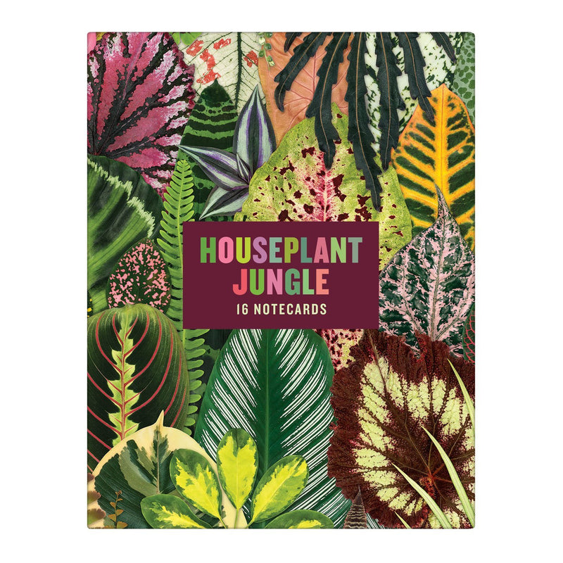 Houseplant Jungle Greeting Assortment Notecards Greeting Cards Galison 