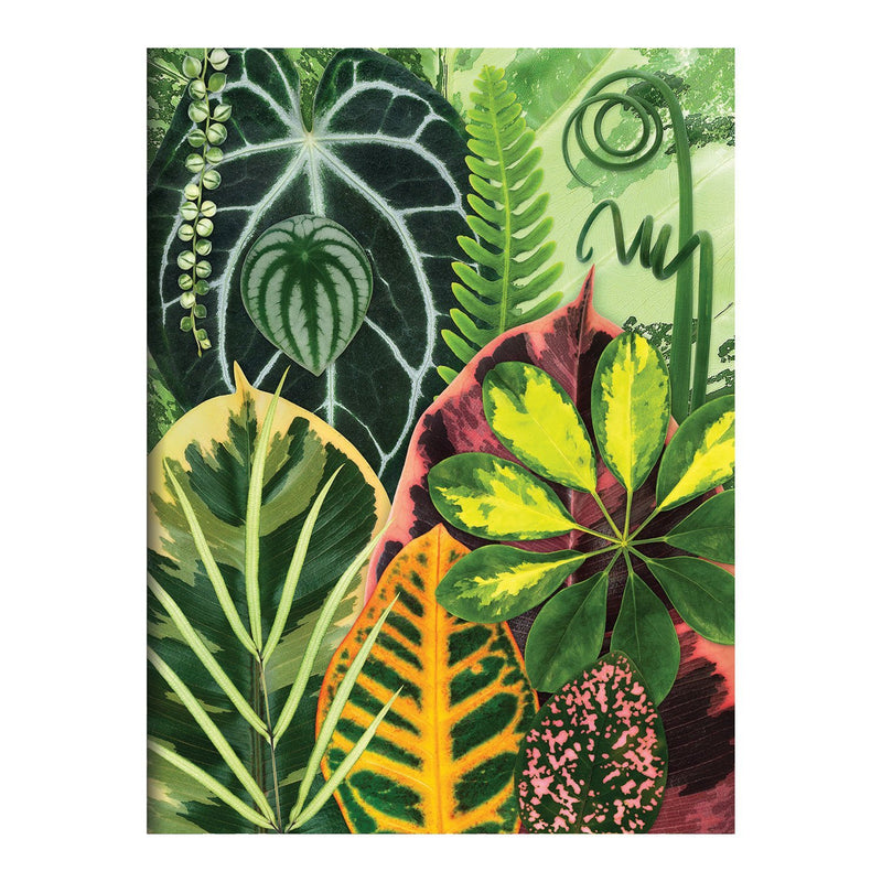 Houseplant Jungle Greeting Assortment Notecards Greeting Cards Galison 