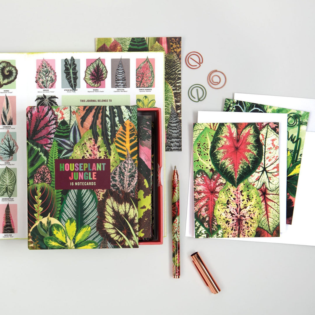 Houseplant Jungle Greeting Assortment Notecards Greeting Cards Galison 