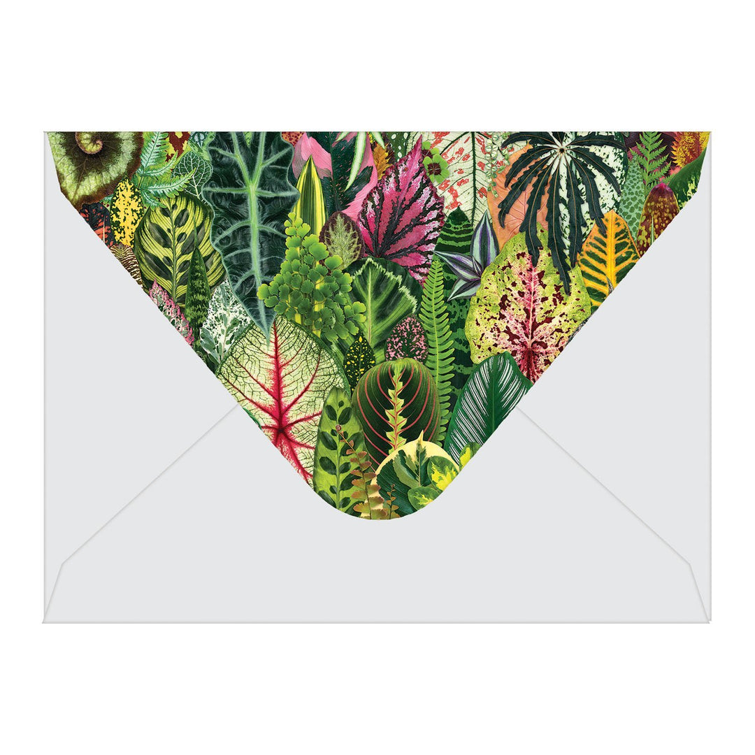 Houseplant Jungle Greeting Assortment Notecards Greeting Cards Galison 