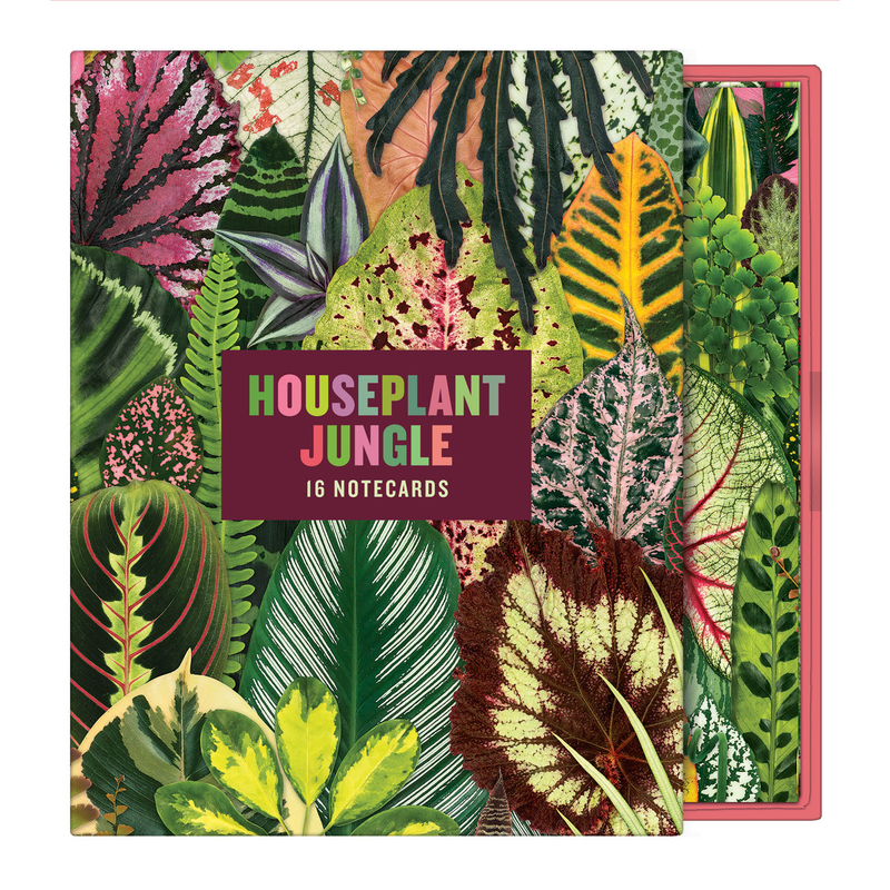 Houseplant Jungle Greeting Assortment Notecards Greeting Cards Galison 