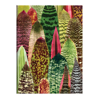 Houseplant Jungle Greeting Assortment Notecards Greeting Cards Galison 