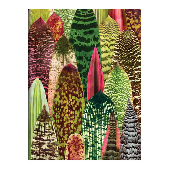 Houseplant Jungle Greeting Assortment Notecards Greeting Cards Galison 