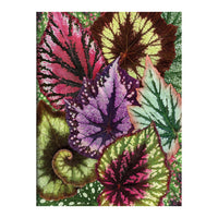 Houseplant Jungle Greeting Assortment Notecards Greeting Cards Galison 