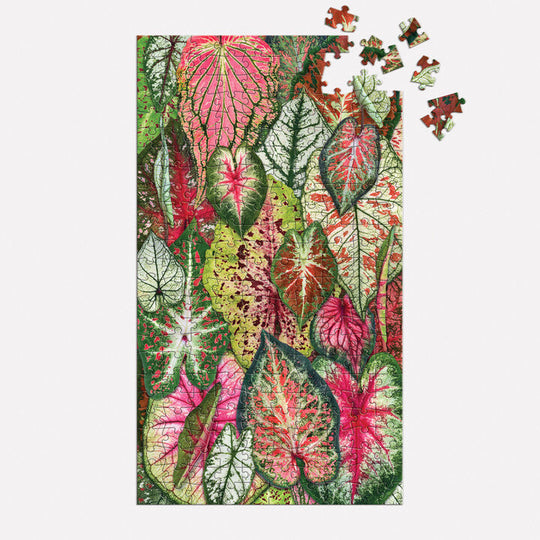 Houseplant Jungle Multi Puzzle Set Puzzles Troy Litten 