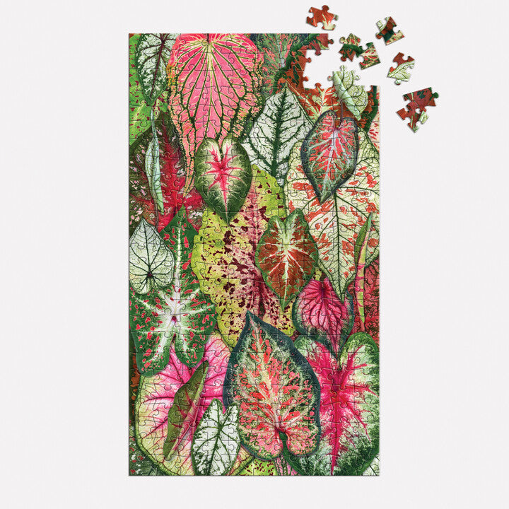 indoor plants puzzle Houseplant Jungle Multi Puzzle Set