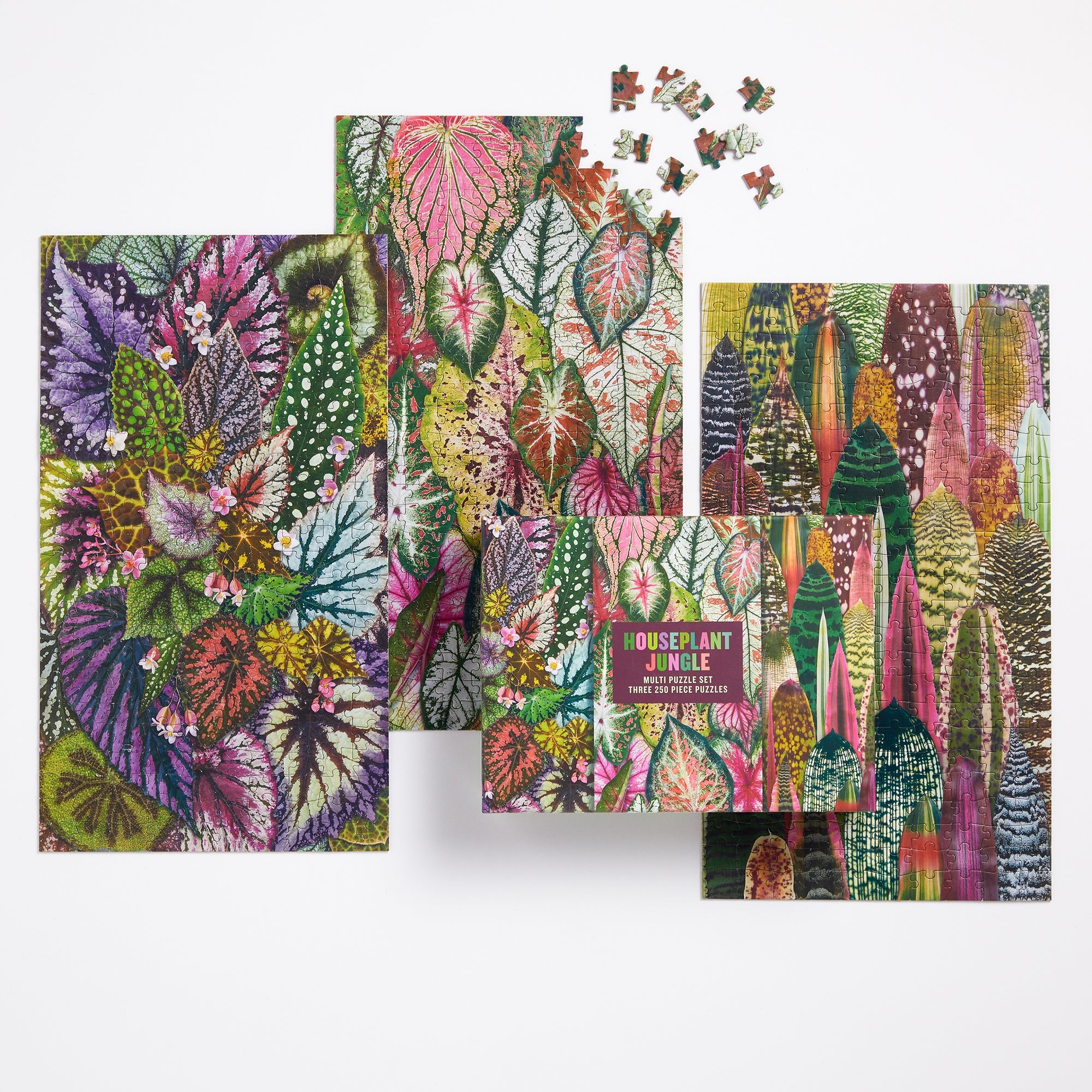 Houseplant jungle 1000 store piece puzzle