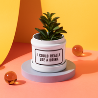 I Could Really Use A Drink Planter w/ Drip Tray Planter w/ Drip Tray Brass Monkey 