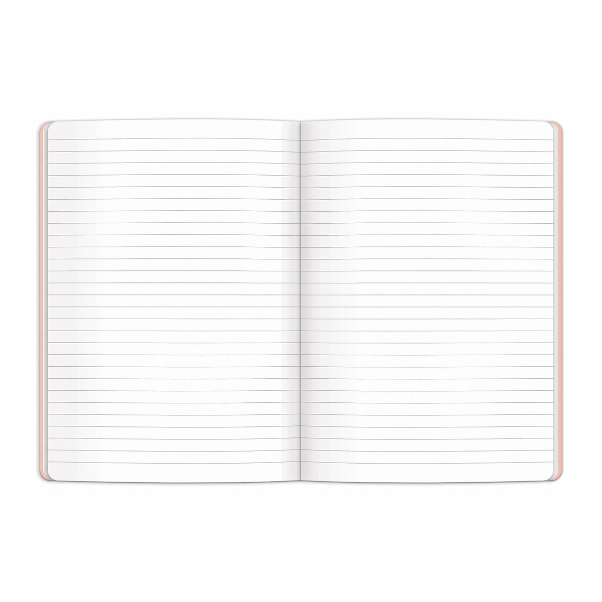 Joy Laforme Spring Street Writers Notebook Set Joy Laforme 