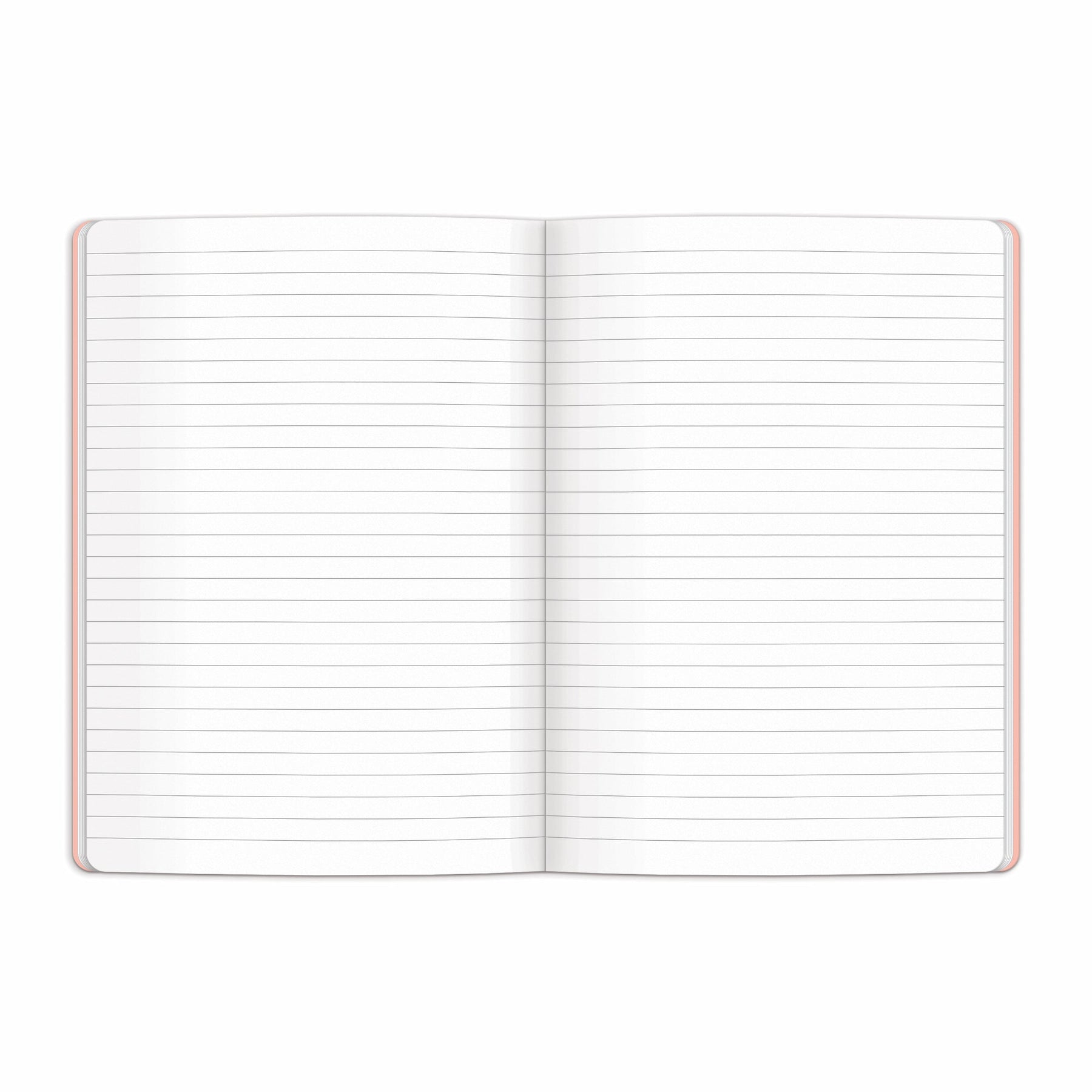 Joynote Notebook Joy Laforme Spring Street Notebook Set | Galison