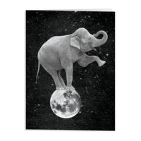 Moonbeams Greeting Card Assortment Greeting Cards Cosmos Collection 