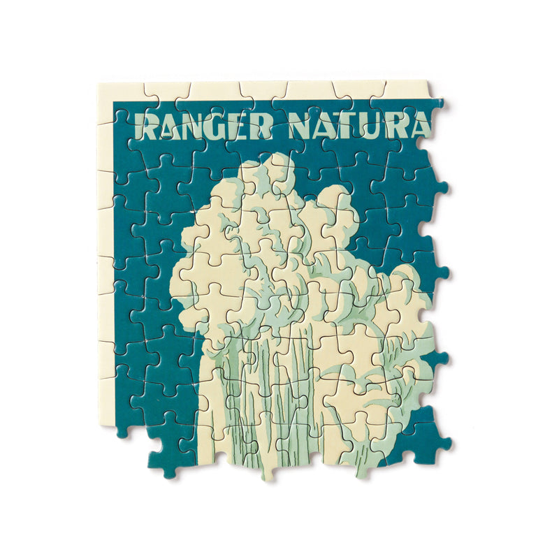 National Parks 1,000 Piece Panoramic Puzzle Brass Monkey 
