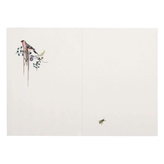 Orchid's Mascarade Boxed Notecards Christian Lacroix Boxed Notecards Christian Lacroix 