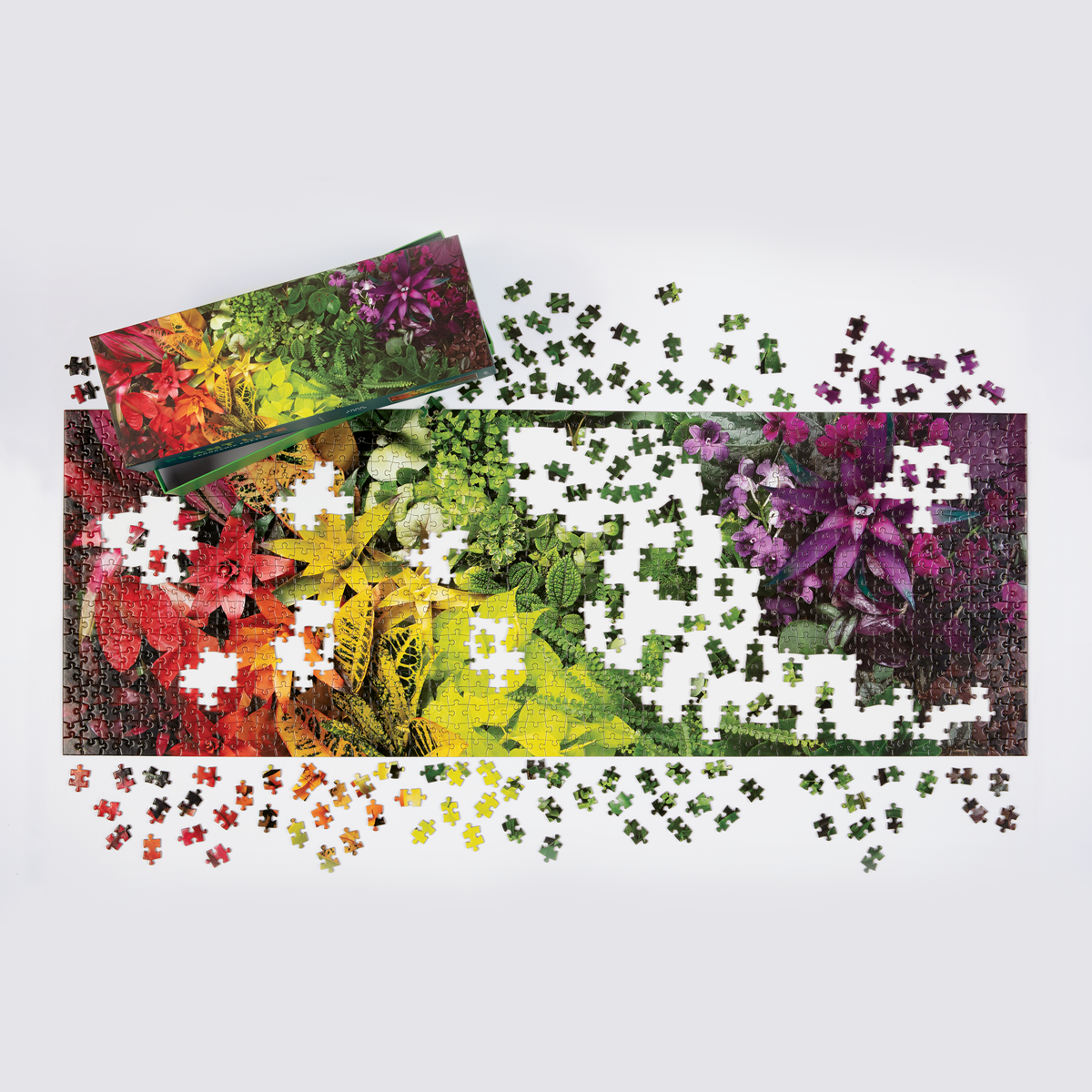 Plant Life 1000 Piece Panoramic Jigsaw Puzzle Panoramic Puzzles Galison 