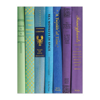 Queen of the Stacks Connecting Notebook Set Journals and Notebooks Galison 