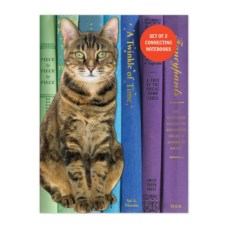 Queen of the Stacks Connecting Notebook Set Journals and Notebooks Galison 