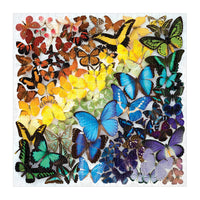 Rainbow Butterflies 500 Piece Puzzle 500 Piece Puzzles Galison 