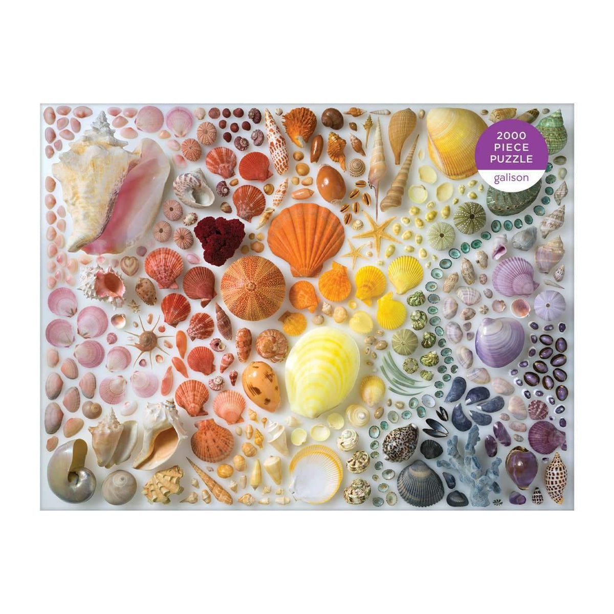 Rainbow Seashells 2000 Piece Jigsaw Puzzle