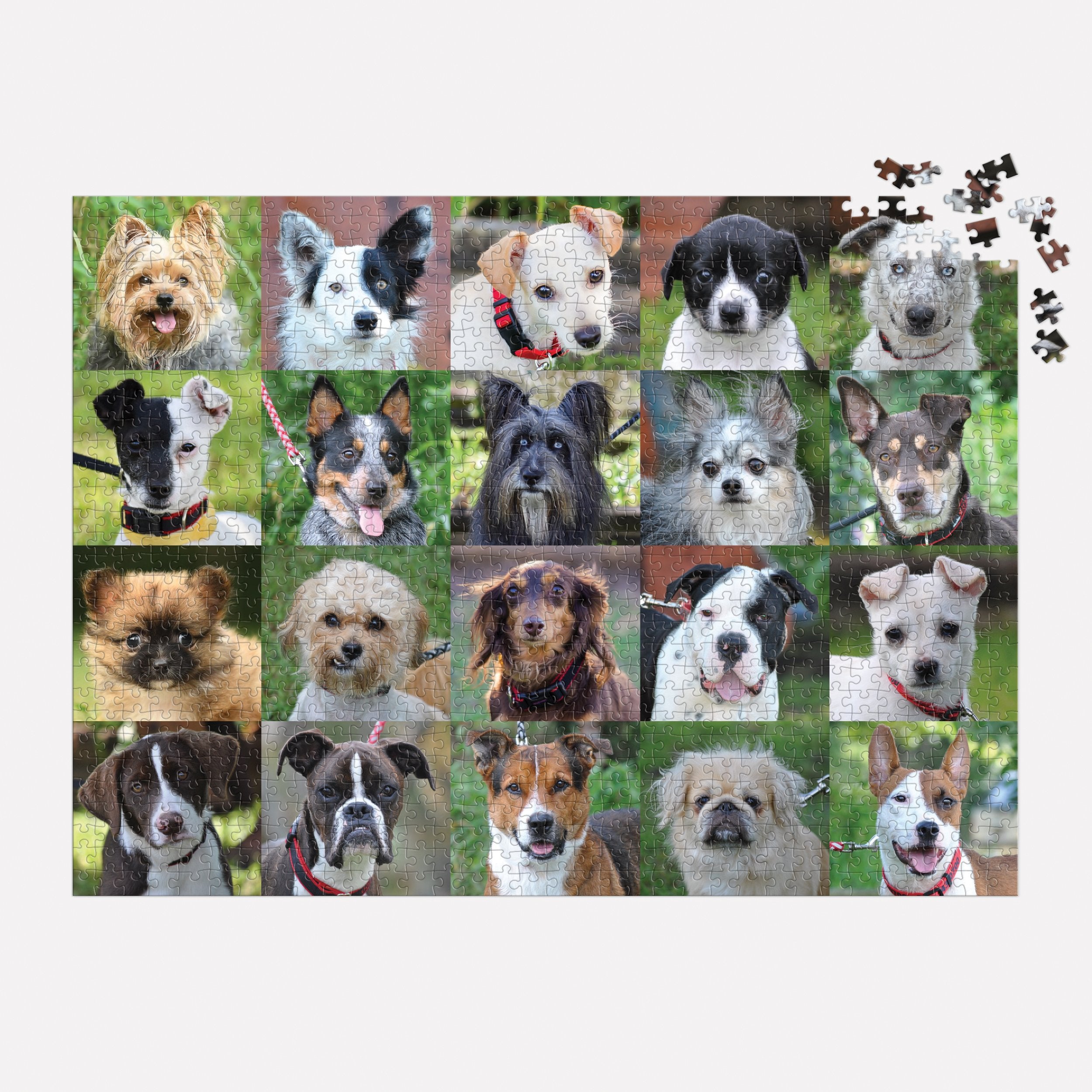 Rescue Dogs 1000-Piece Jigsaw Puzzle | Galison