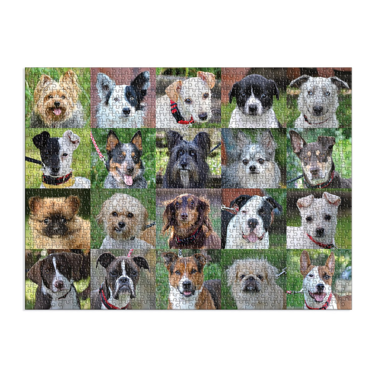 1000 Piece Puzzle, Rescue Dogs