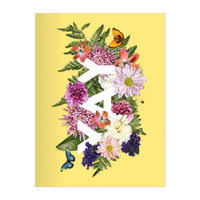 Say It With Flowers Greeting Assortment Notecard Box Greeting Cards Galison 