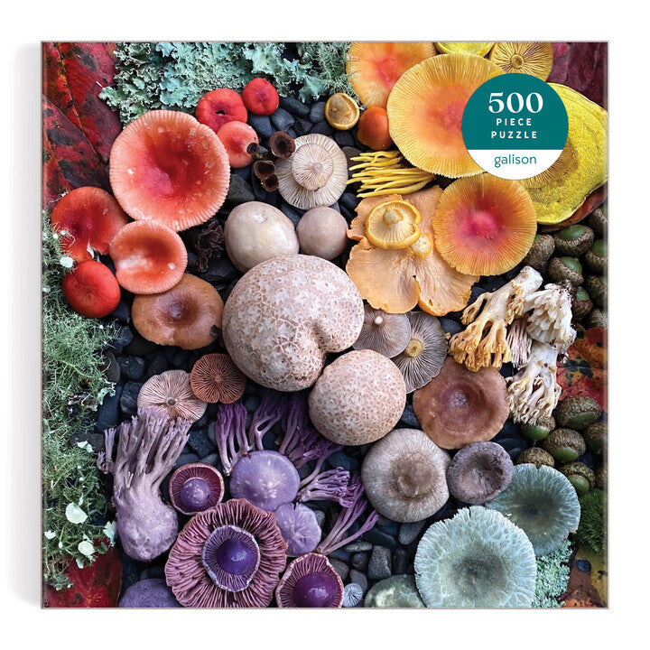Shrooms in Bloom 500 Piece Puzzle Puzzles Heather Brooks 