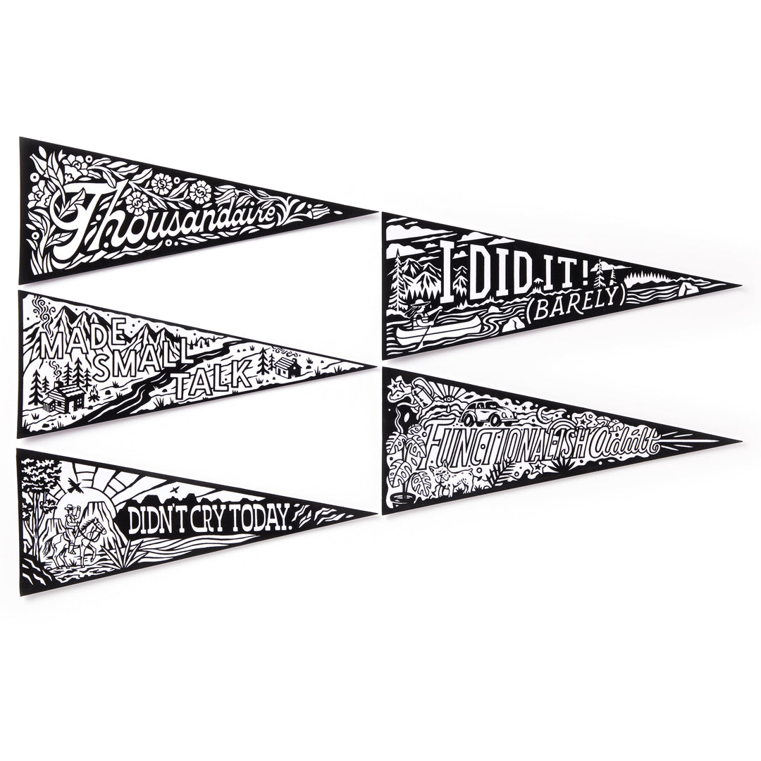Small Victories Magic Velvet Pennant Coloring Set Brass Monkey 
