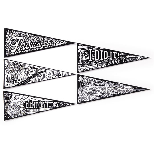 Small Victories Magic Velvet Pennant Coloring Set Brass Monkey 
